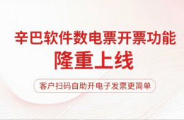  辛巴軟件進(jìn)銷(xiāo)存系列，新增數(shù)電發(fā)票開(kāi)票功能